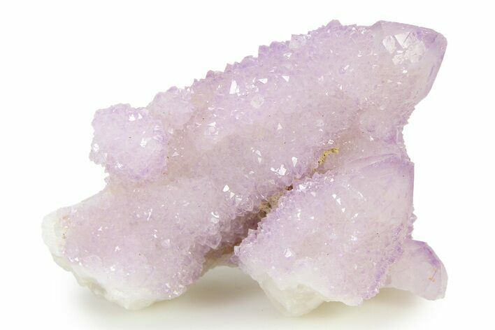 Sparkling Cactus Amethyst Crystal Cluster - South Africa #336772
